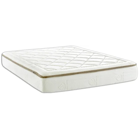 Queen 10 Inch Memory Foam Mattress